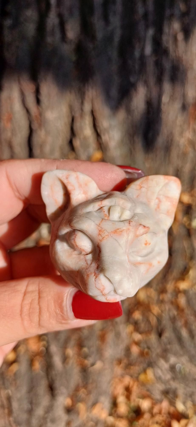 Red Vein Jasper Third Eye Cat Head
