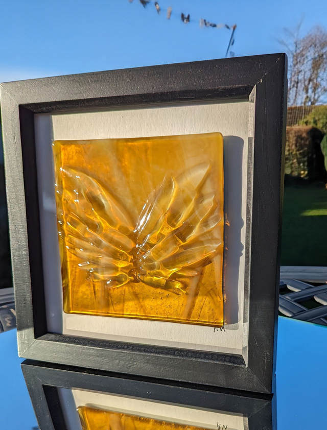 Amber wings in Black frame