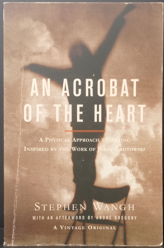 An acrobat of the heart de Stephen Wang