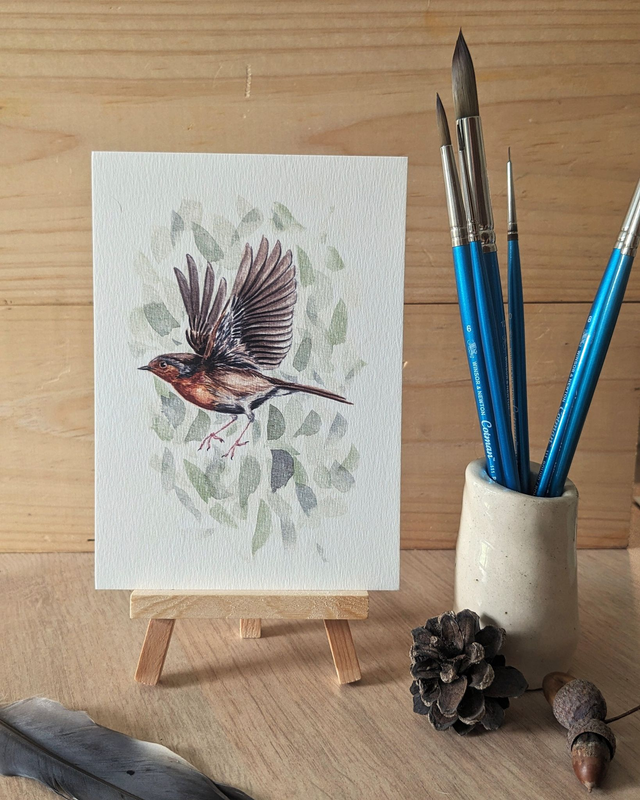 Le Rougegorge familier - carte A6