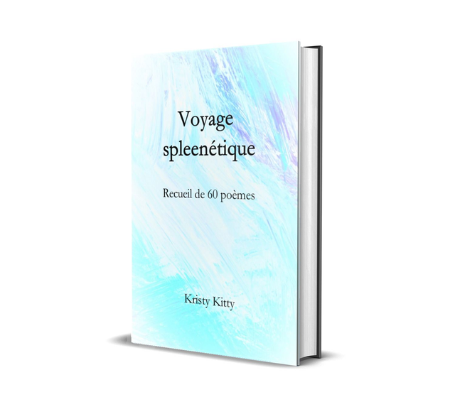 Voyage Spleenétique - recueil de poème