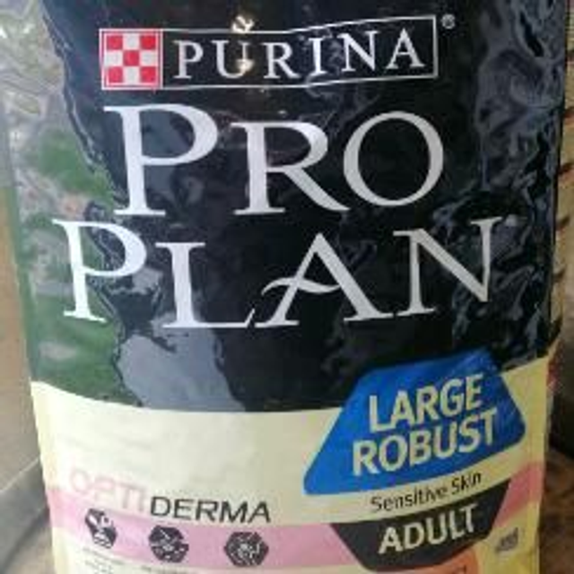 adult large 18kg robust saumon