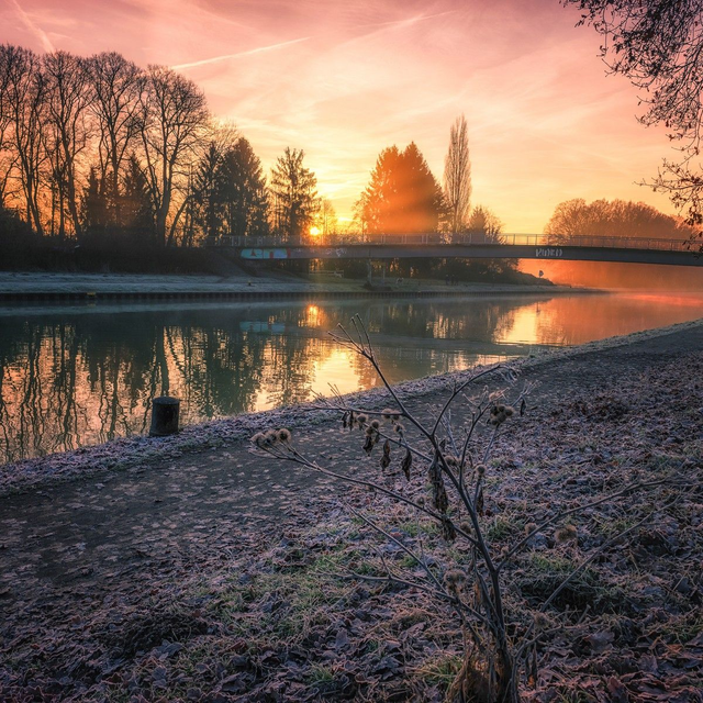Frostmorgen am Kanal