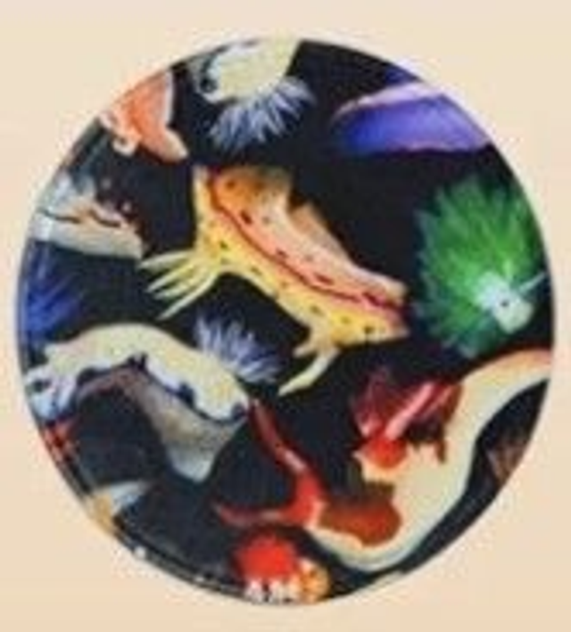 SUBLIMATED - 3.5&quot; Round with Black Border Material Hat / Jacket Patches