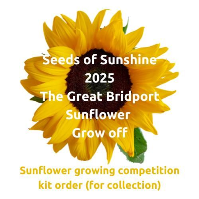 Seeds of Sunshine 