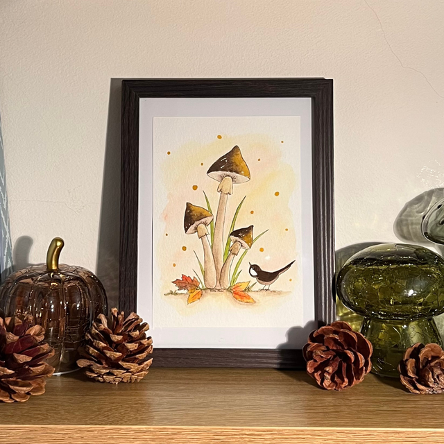 Le trio curieux ✨ A6