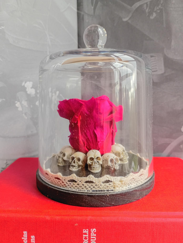 D08 Rose Violette sur crâne