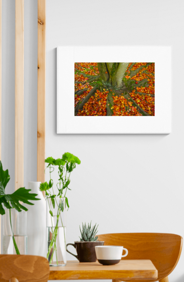 Autumn Leaves - Print