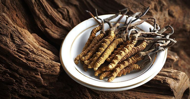 Cordyceps capsule