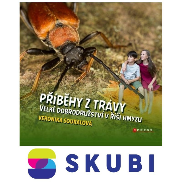 Kniha Příběhy z trávy - Veronika Souralová