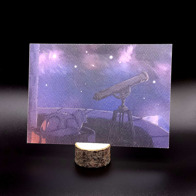 LE CHAT DE L’OBSERVATOIRE