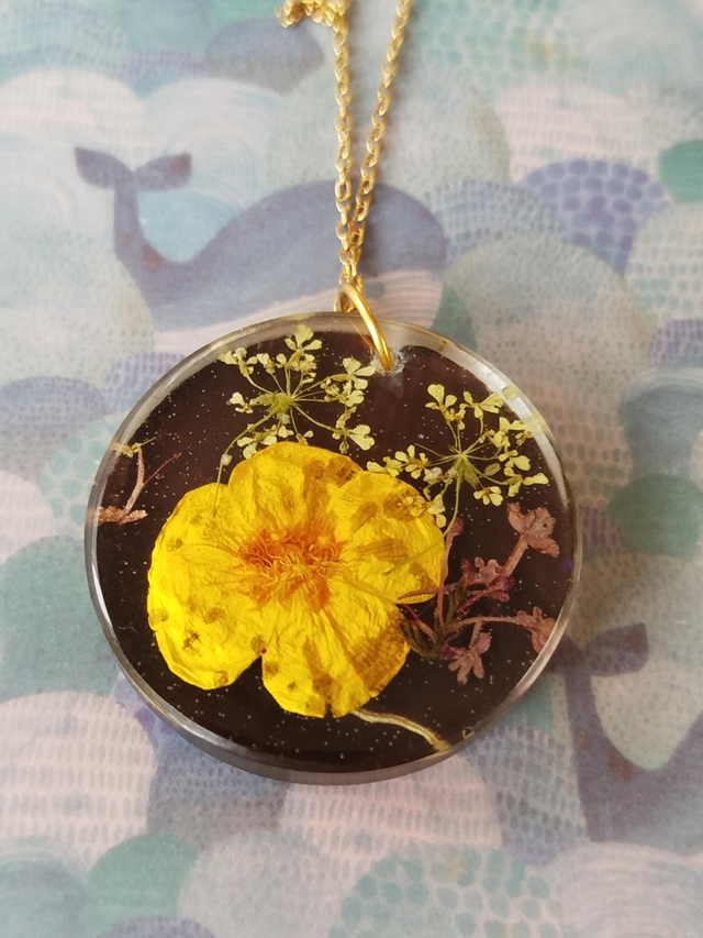 Bouton d'Or