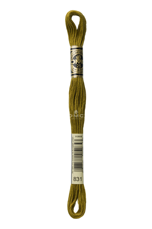N°831 Mouliné Spécial DMC