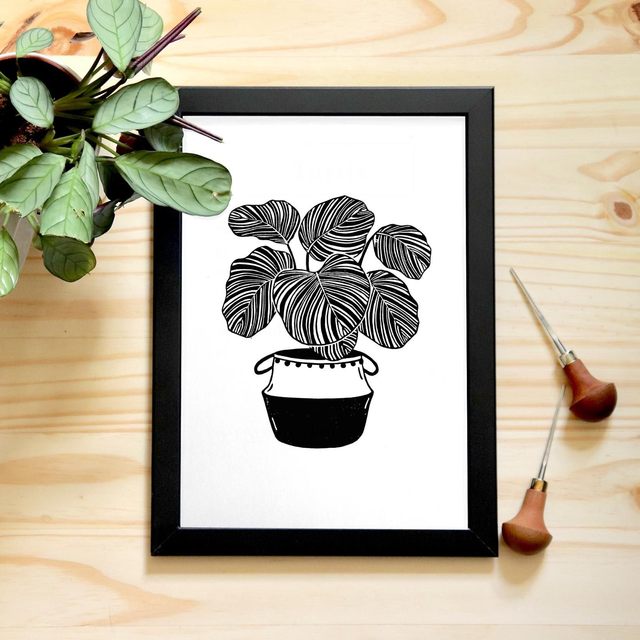 Linogravure A4 Calathea Orbifolia - Linogravure plante
