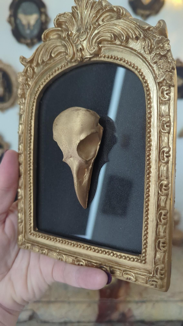 Cadre en arche dorée - crâne corbeau