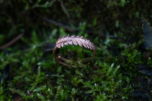 Bague fougère