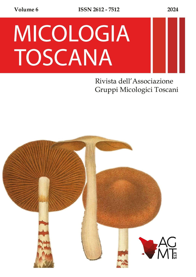 2024 - Micologia Toscana - Volume 6