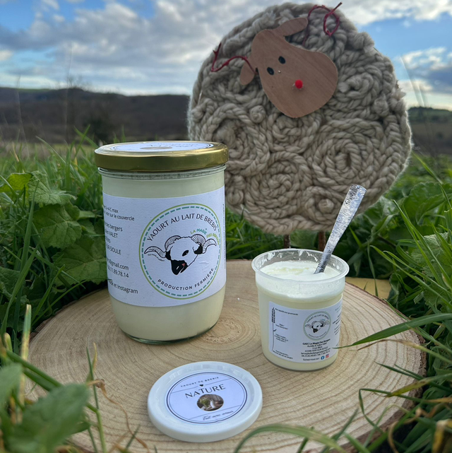 Yaourt nature