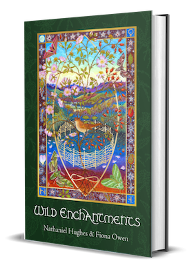Wild Enchantment - Kartenset mit Buch (English)