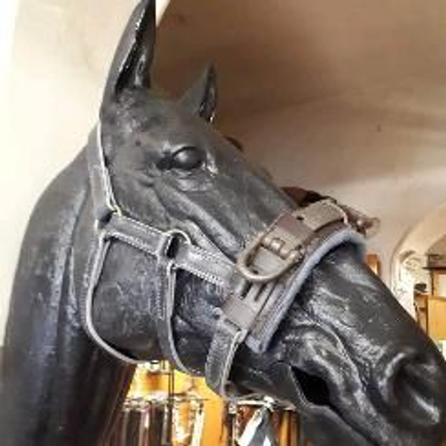 Purcell Heavy Duty Leather Lunging Cavasson 