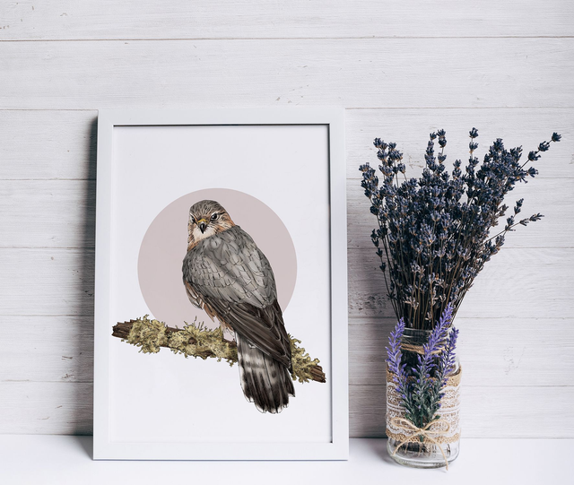 Merlin Bird Print - After an original ink and digitally coloured illustration