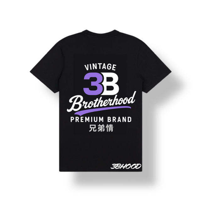 3B Vintage T Shirt (Black Purple)