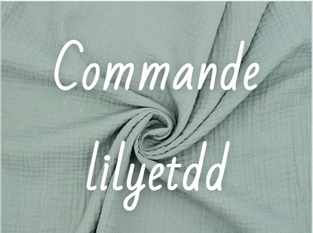 Commande lilyetdd