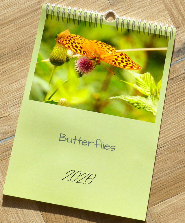 2026 Calendar - Butterflies