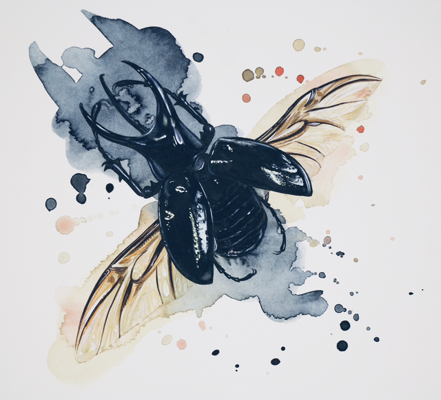 Original Watercolour: Flying stag beetle