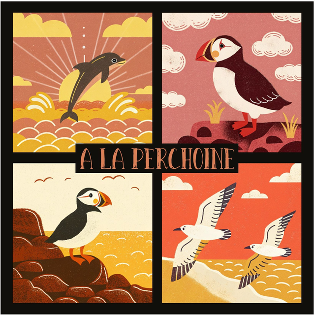 101 CARD - GUERNSEY WILDLIFE 4