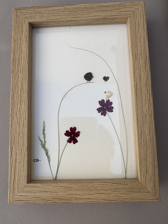fleurs violettes