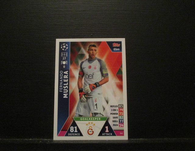 Fernando Muslera - UEFA Champions League Match Attax 2018/19 Original Trading Card #362