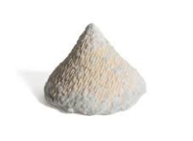 Petit Cône de Cosne entier, affiné (350g)