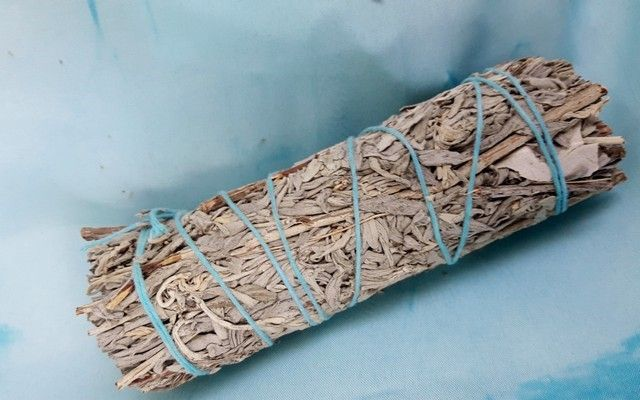 OFFERTA 10 SMUDGE SALVIA BLU CALIFORNIANA