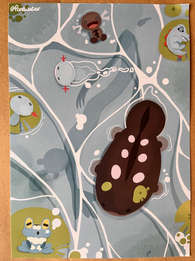 Pokemon Pond A4 Print