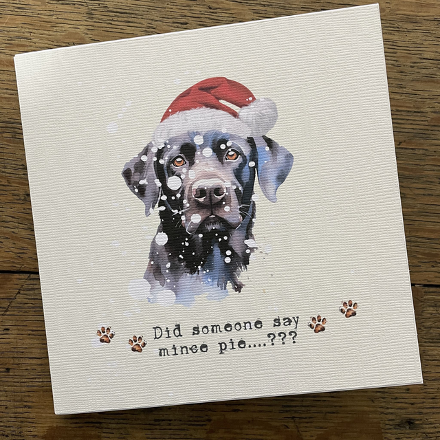 CX43/FX28 Did someone say mince pie?