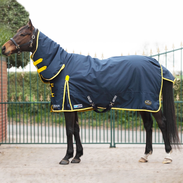 Gallop Trojan 200g Duraproof Combo Turnout Rug Navy/Yellow