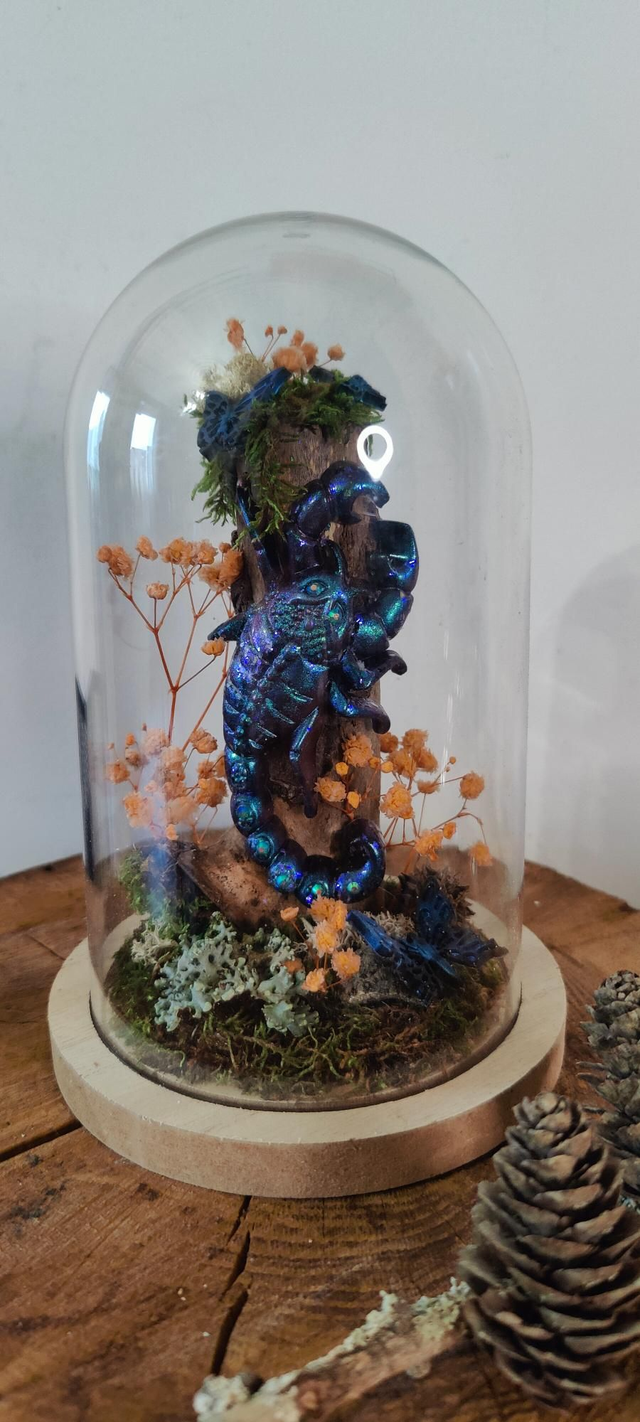 Fantasy sous cloche : Le scorpion luisant et végétaux 