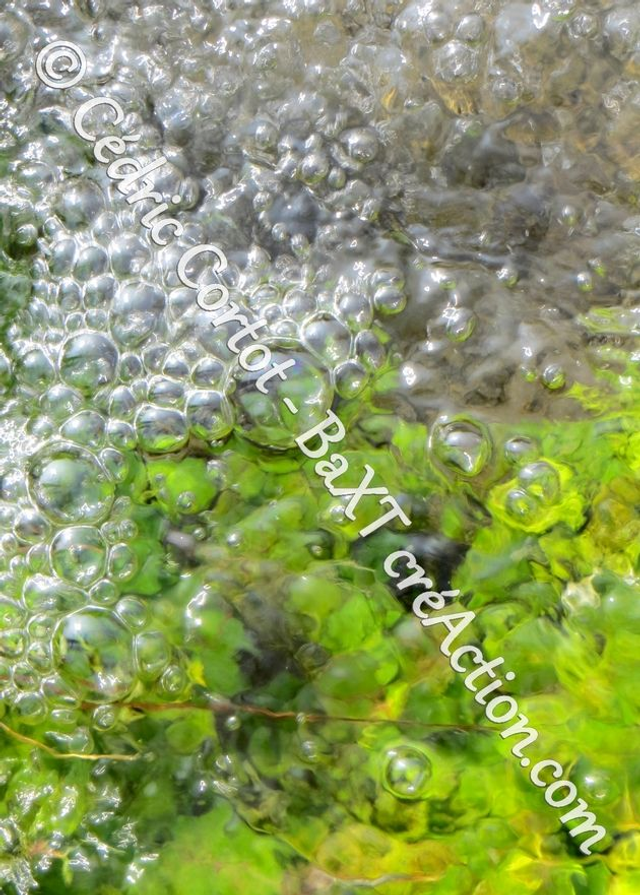 Carte postale - Reflets et cours d'Eau (Ref IMG_8085)