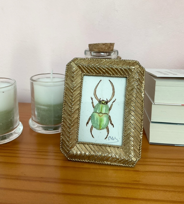 Scarabée vert irisé dans son cadre miniature doré