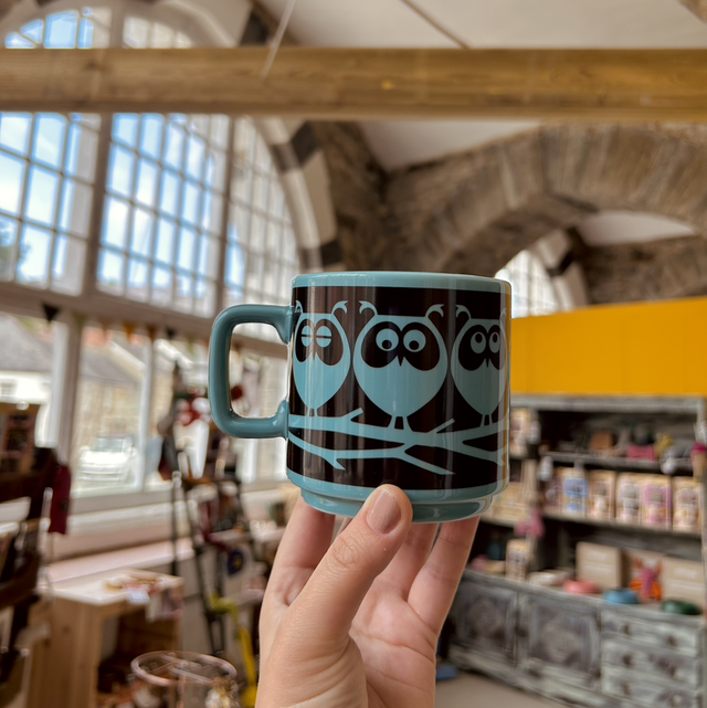 Magpie X Hornsea Mug Owls on Branch - Teal
