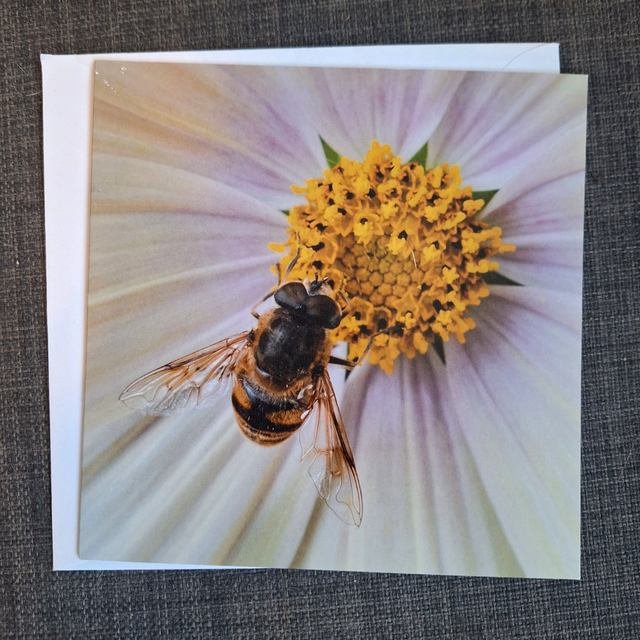 Flower and nature greeting card (with envelope) - bee (edition 4)