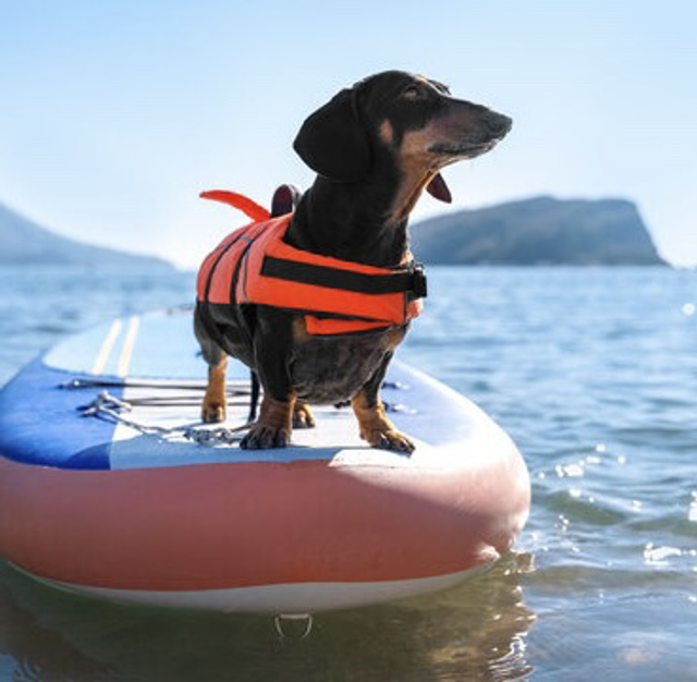 Individual Daily Hire inc. Deposit