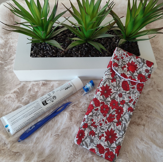 étui de voyage pour brosse à dents et dentifrice 