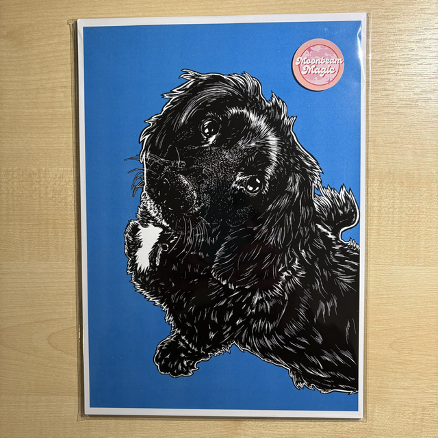 Moonbeam Magic Loki Print