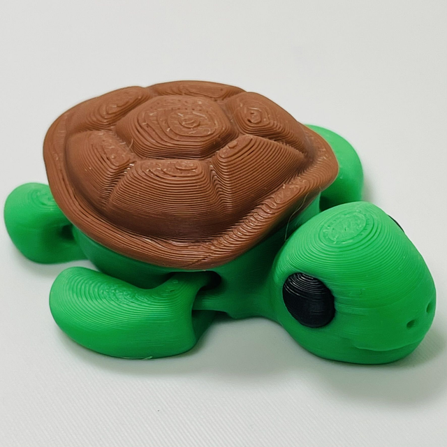 Turtle UKCA