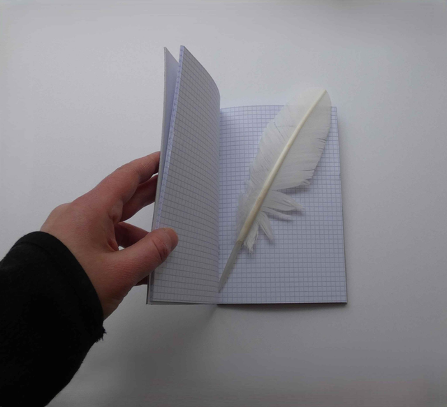 La réunion des martins-pêcheurs du petit carnet quadrillé