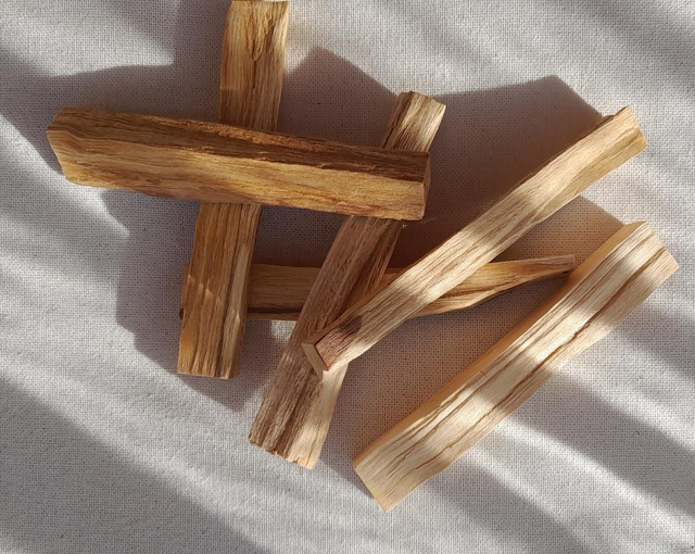 Palo Santo pour Fumigation/Purification
