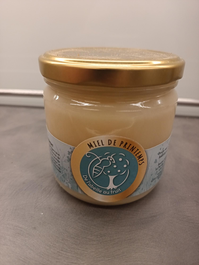 Miel de printemps du montreuillois 