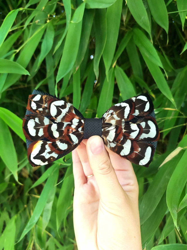 Noeud papillon Tissu et Plumes naturelles de Faisan vénéré